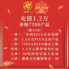 【千万补贴双十一】充值1.2万